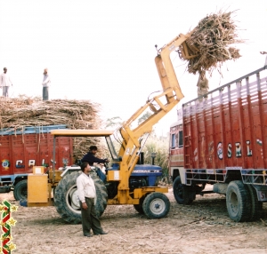 S 2212 Loader with Sugarcane Grabber Manufacturer Supplier Wholesale Exporter Importer Buyer Trader Retailer in Faridabad Haryana India